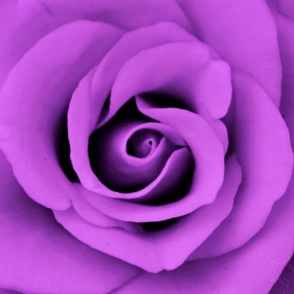 Meet your Posher, Dhruvi - Picture 1 of 1